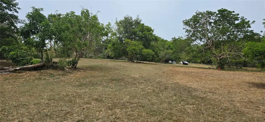 Camino Nuevo, Yabucoa, PR 00767 - #2