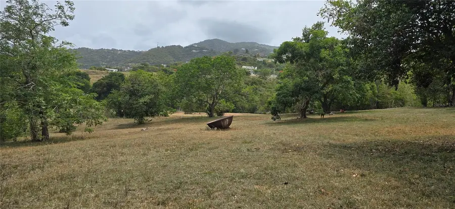 Camino Nuevo, Yabucoa, PR 00767 - #3