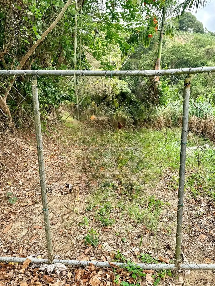Km 0.9 Route 759, Maunabo, PR 00707 - #2