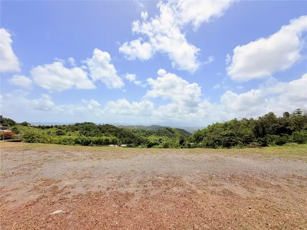 Bo. Quemado, SAN LORENZO, PR 00754