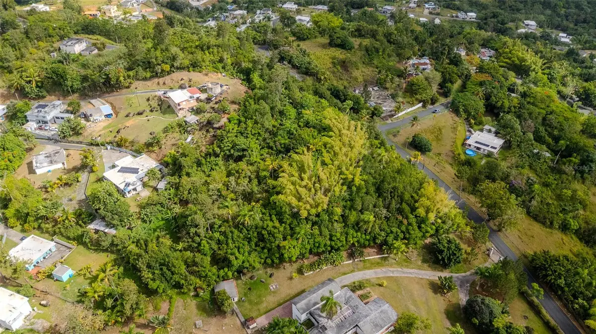 URB LA ESMERALDA A1 Orqudea, Caguas, PR 00725 - #1