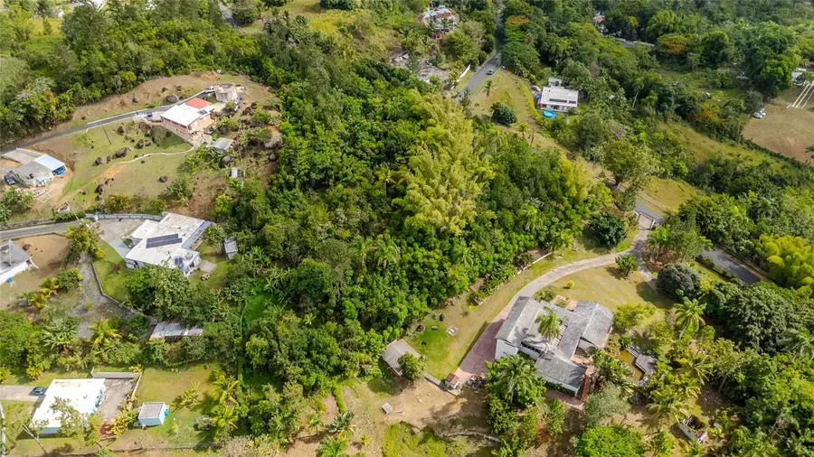 URB LA ESMERALDA A1 Orqudea, Caguas, PR 00725 - #2