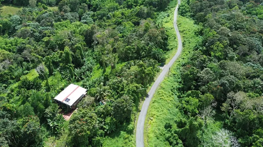 Pr-183, San Lorenzo, PR 00754 - #3