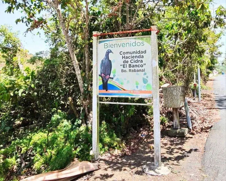 Hacienda De Cidra, Rabanal Parcela #32, Cidra, PR 00739 - #1