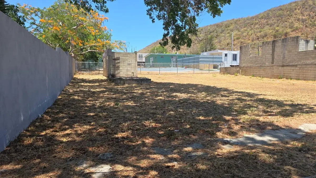 Extensin Baco #6 Barrio Montalva, Ensenada, Gunica, Ensenada, PR 00647 - #1