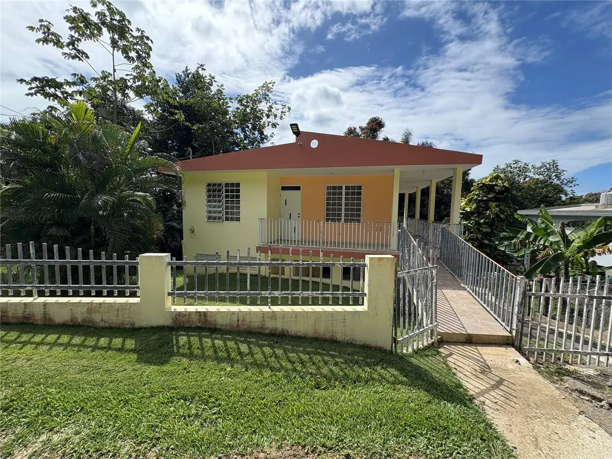 RD 112 Km 17.3 Int Lote B Bo Capa, Moca, PR 00676 - #1