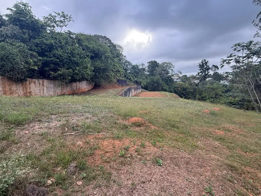 Bo Cedro Arriba Carr 809, Km 2 Hm 2 Interior, Nar, Naranjito, PR 00719 - #2