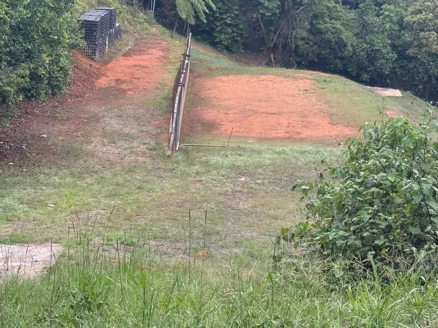 Bo Cedro Arriba Carr 809, Km 2 Hm 2 Interior, Nar, Naranjito, PR 00719 - #3