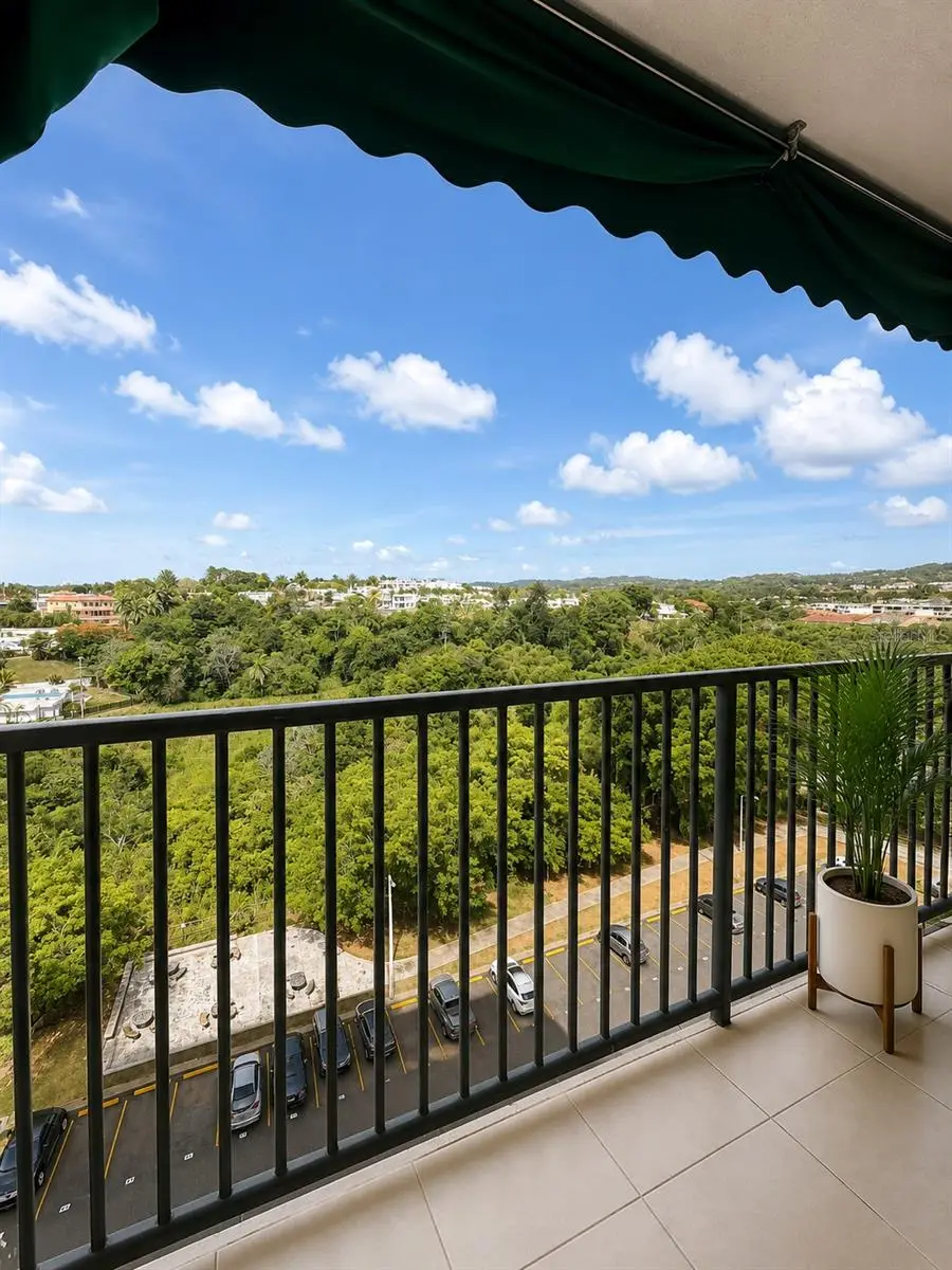 3 Hortensia #12M, San Juan, PR 00926 - #2