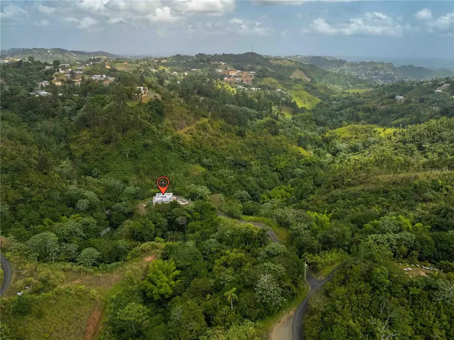 Carr 814 Km.hm 4.0, Naranjito, PR 00719 - #3