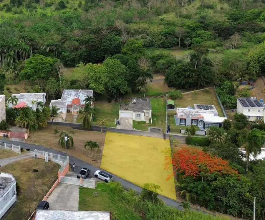 12 Miramelinda ST Paraiso Santa Barbara, Gurabo, PR 00778 - #3