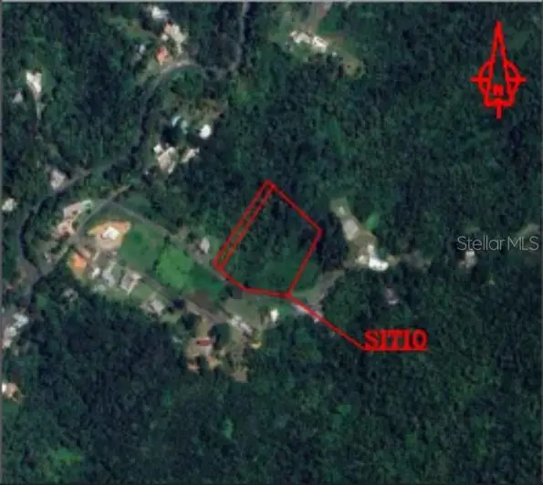 Carr 797, Aguas Buenas, PR 00703 - #3