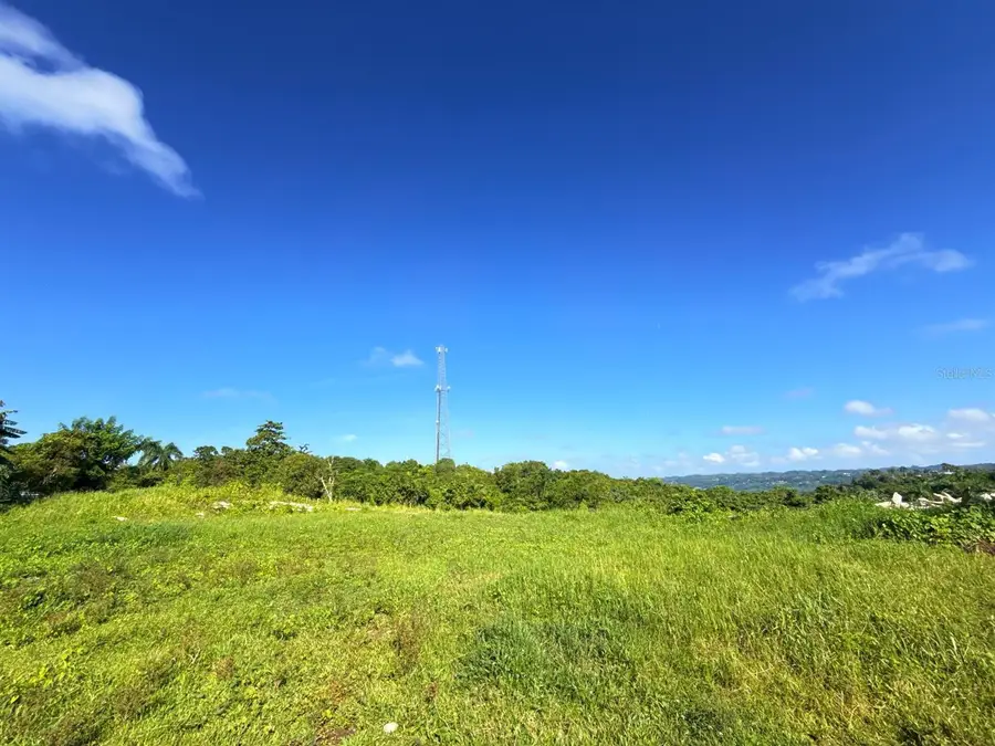 CARR 119 km 27.9 int Bo Hoyamala, San Sebastian, PR 00685 - #2