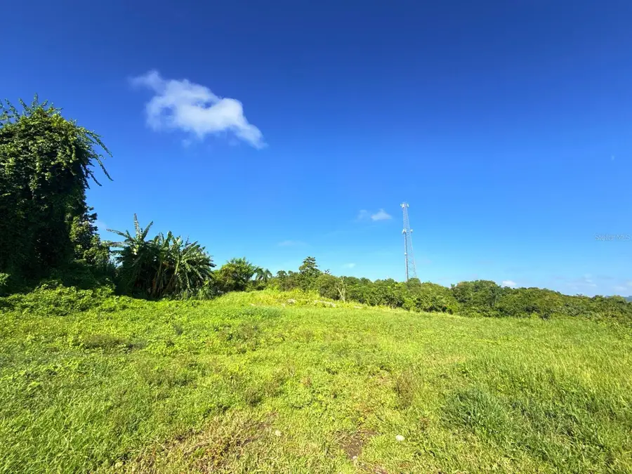 CARR 119 km 27.9 int Bo Hoyamala, San Sebastian, PR 00685 - #3
