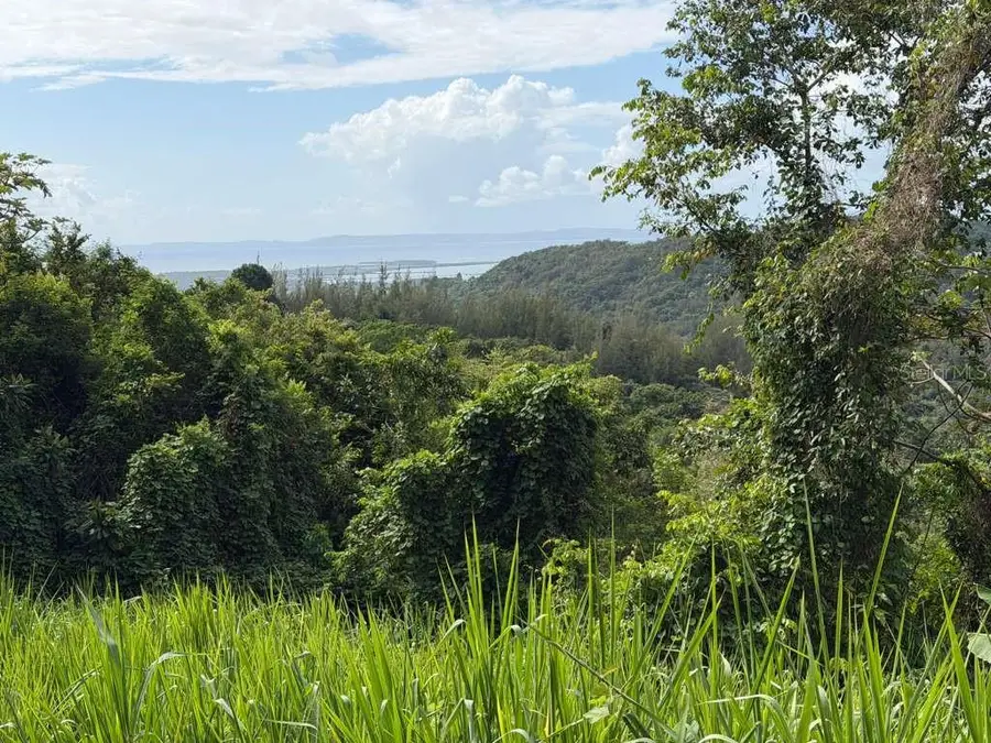 RD 978 KM 2.7 Chupacallos Wd, Ceiba, PR 00735 - #3