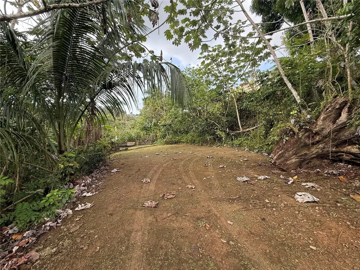 835 Km 5.4 Int,. Lot 8 Mamey Wd #LOT 8, Guaynabo, PR 00969 - #1