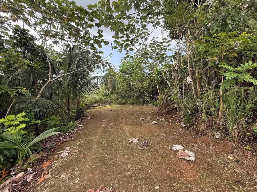 835 Km 5.4 Int,. Lot 8 Mamey Wd #LOT 8, Guaynabo, PR 00969 - #3