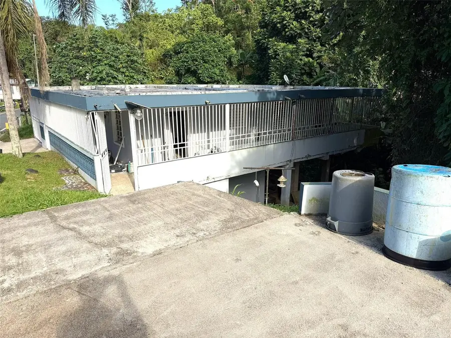 PR 156 Mulas Ward, Aguas Buenas, PR 00703 - #2