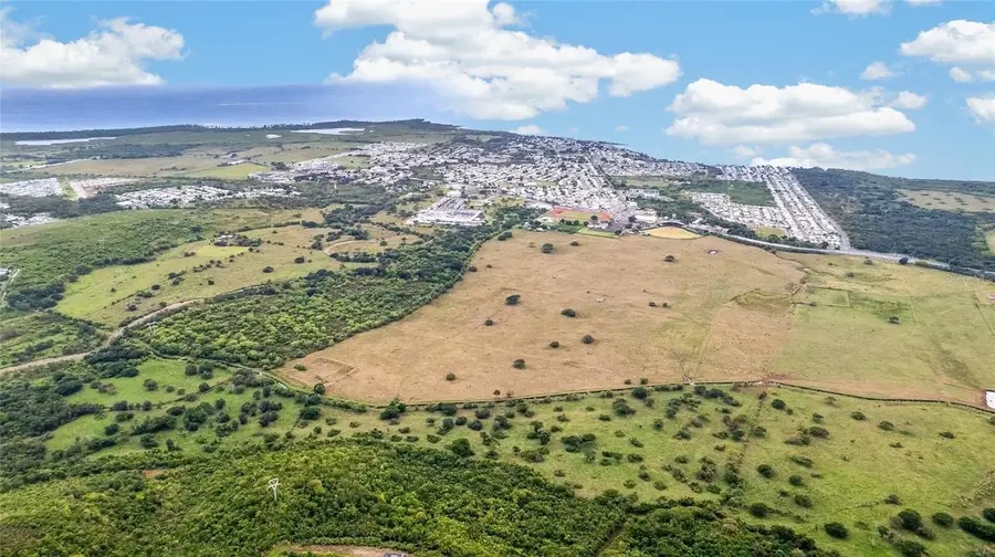 Bo Algarrobo, Guayama, PR 00784 - #2