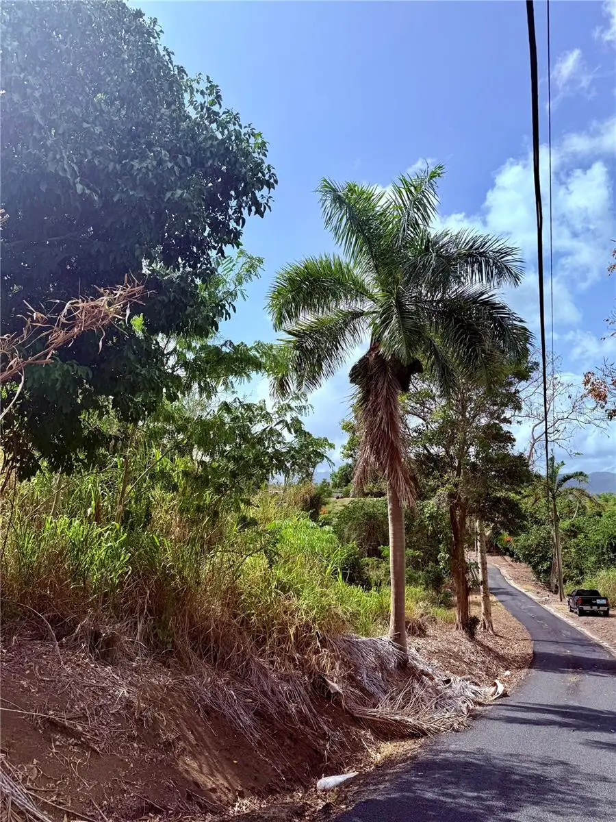 857 Route #km 6.8, Carolina, PR 00987 - #2