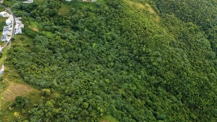 BO PENA POBRE Higuerillo Carr 31 Solar #1, Naguabo, PR 00718 - #3
