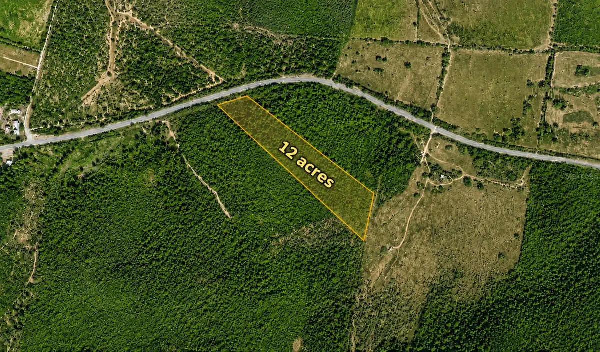Bo. Costa PR-116 Lote 6, Lajas, PR 00667 - #1