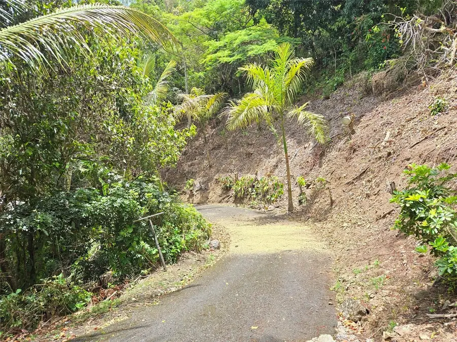 PR 156 KM. 23.9 Rio Hondo Ward, Comerio, PR 00782 - #3