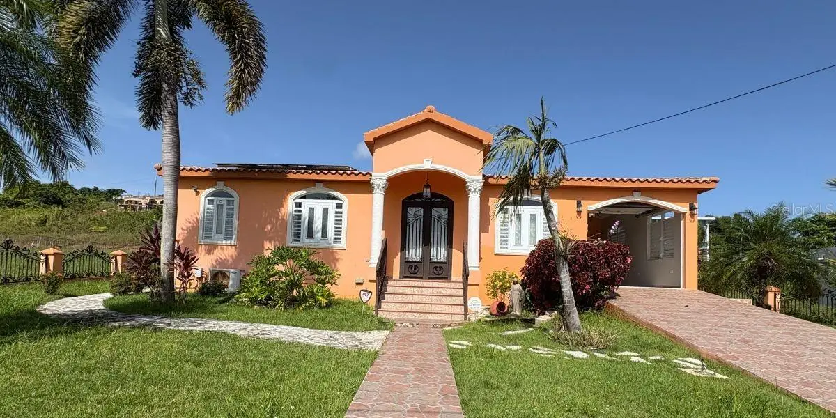 Carr 495 Bo Cerro Gordo, Moca, PR 00676 - #1