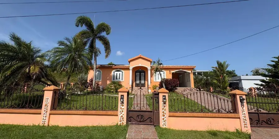 Carr 495 Bo Cerro Gordo, Moca, PR 00676 - #2