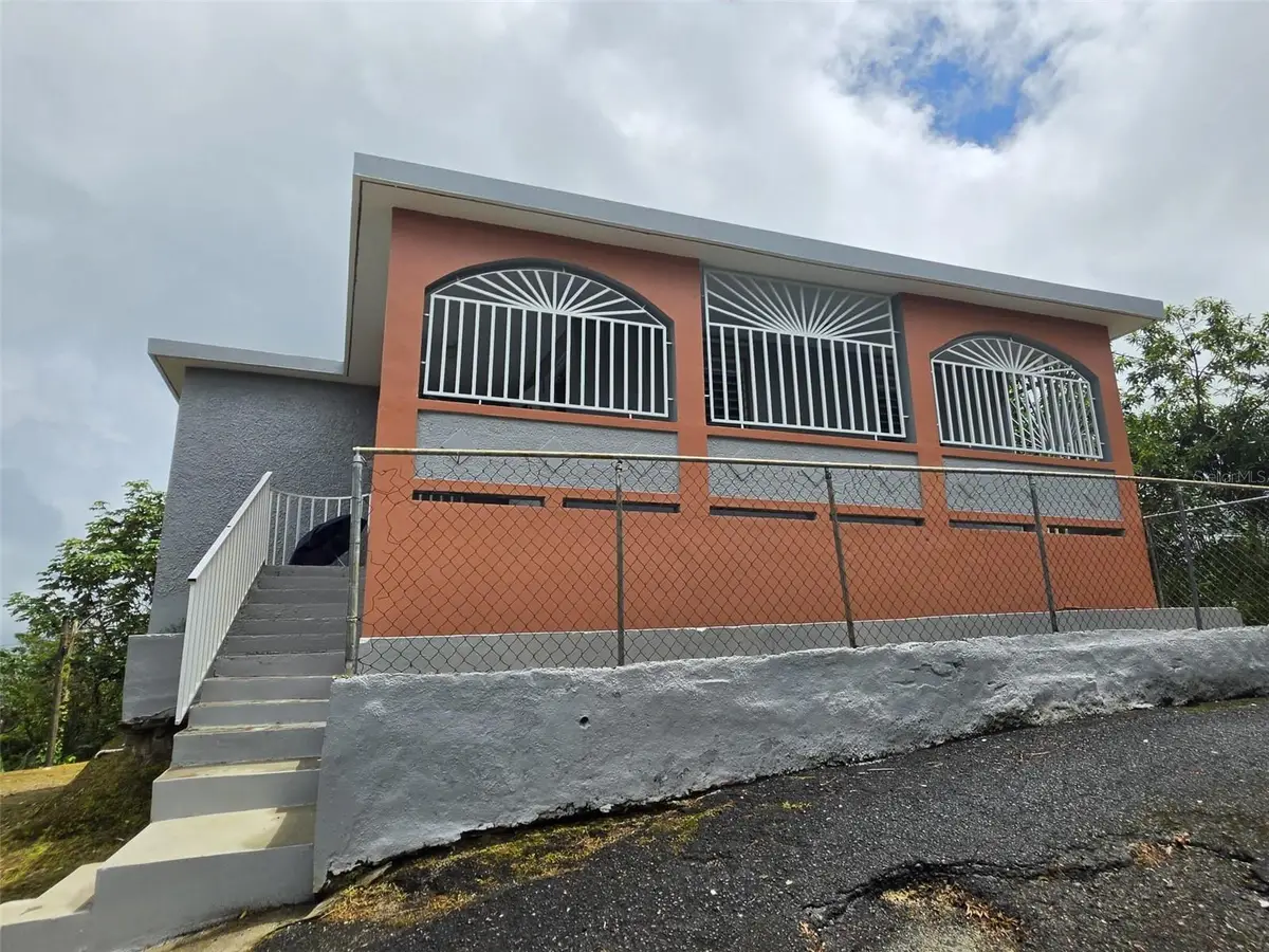 PR 9920 Quebrada Arenas, San Lorenzo, PR 00754 - #1