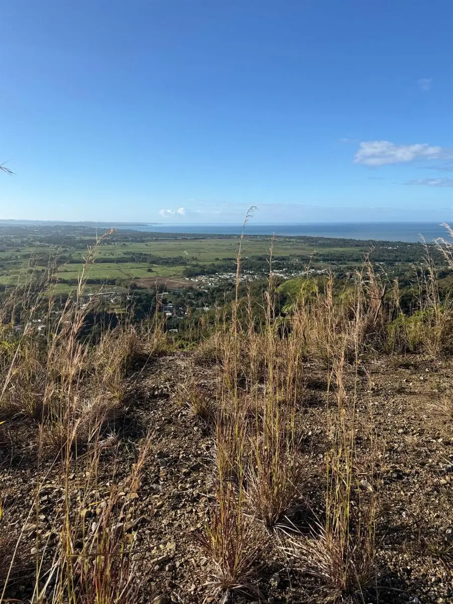 Carr. 402, Km. 5.0 Barrio Piales, Anasco, PR 00610 - #1