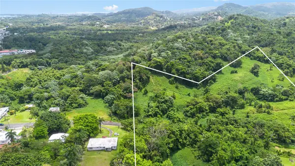 968 Bo. Zarzal, RIO GRANDE, PR 00745