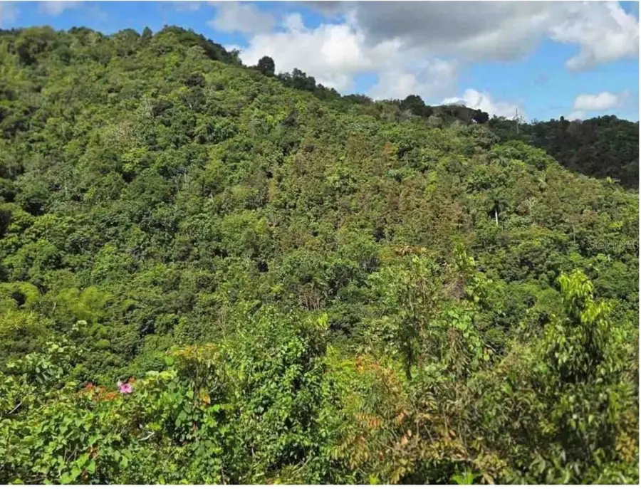 Carr 15 Km 21, Cayey, PR 00736 - #2