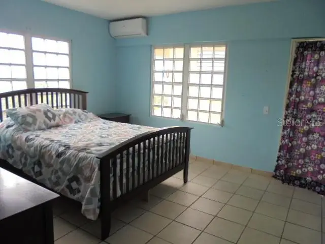 Junquito Clavel, Humacao, PR 00791 - #3