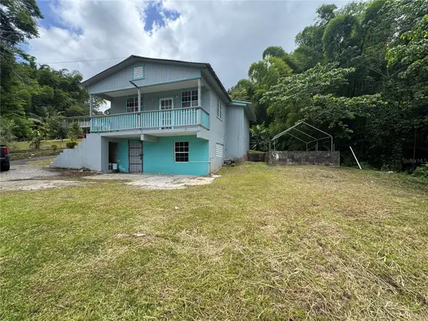 131 Guilarte, ADJUNTAS, PR 00601