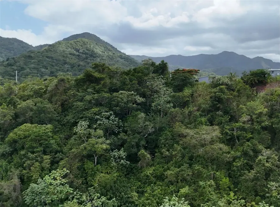 131 Guilarte, Adjuntas, PR 00601 - #2