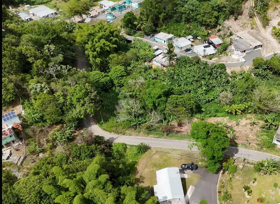 131 Guilarte, Adjuntas, PR 00601 - #3