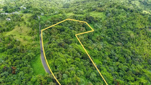 Address Withheld By Seller, NAGUABO, PR 00718