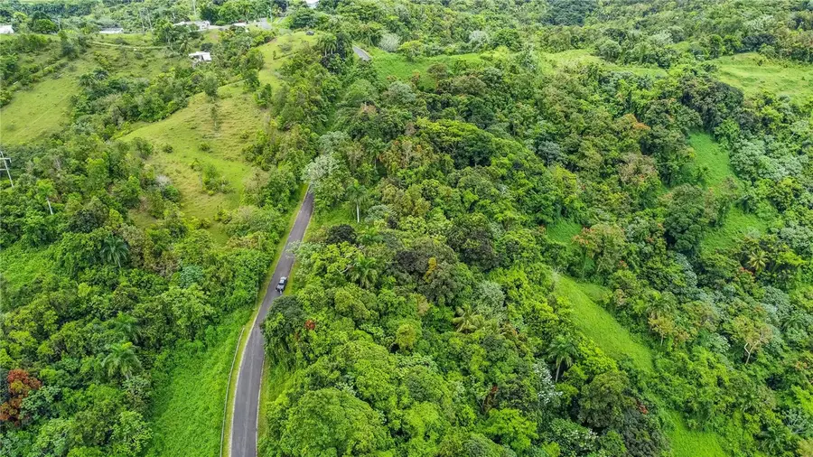 Address Withheld By Seller, Naguabo, PR 00718 - #3