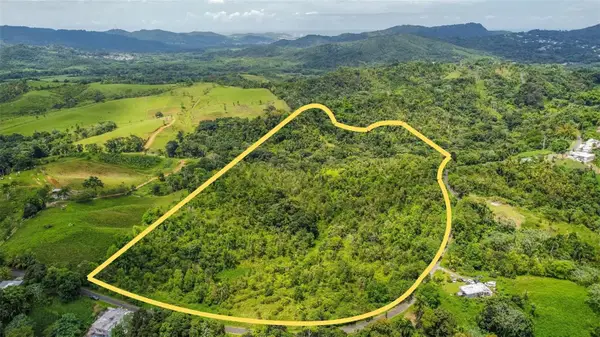 Address Withheld By Seller, CEIBA, PR 00735