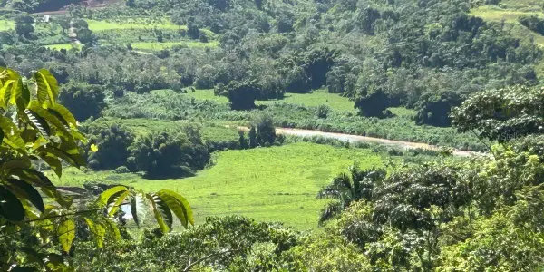Carr 424 Bo Guacio, SAN SEBASTIAN, PR 00685