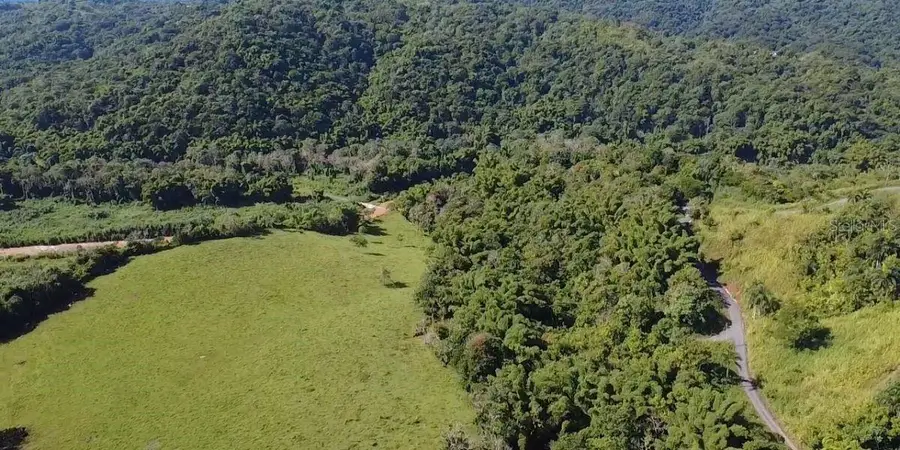 Carr 424 Bo Guacio, San Sebastian, PR 00685 - #3