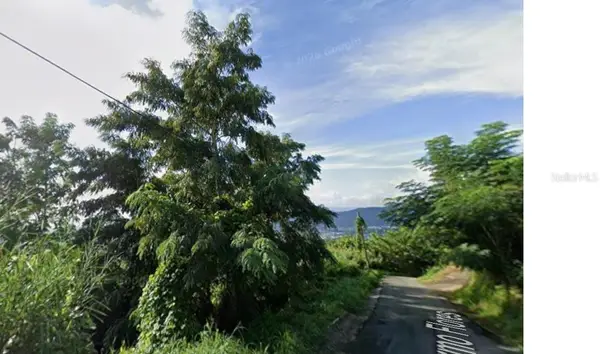 Rd 942, GURABO, PR 00778