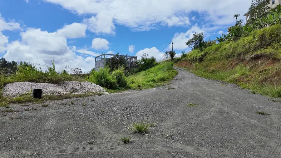 Carr 155 Km 35.5 Bo. Perchas, Morovis, PR 00687 - #2