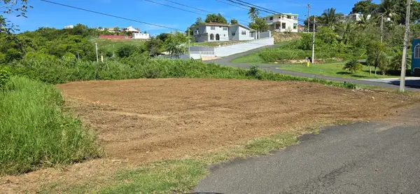 Urb. Colinas De Palmarito, ARECIBO, PR 00612