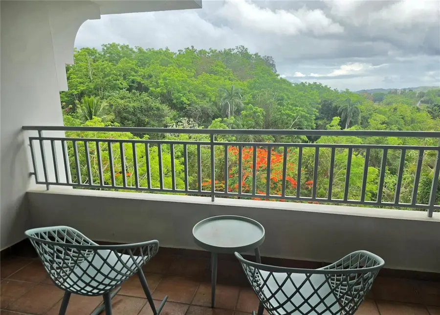 PR 450 Buena Vislta Village #1542, Trujillo Alto, PR 00976 - #2