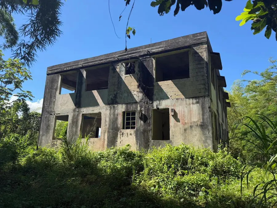 CARR 10 KM 43.3 Bo Salto Abajo, Sector Greaulau, Utuado, PR 00641 - #3