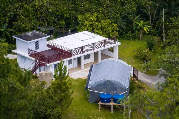 Carr 111 Rt 602 Rr 6602 Km 4.2 Int Sector Alturas Angeles, UTUADO, PR 00641