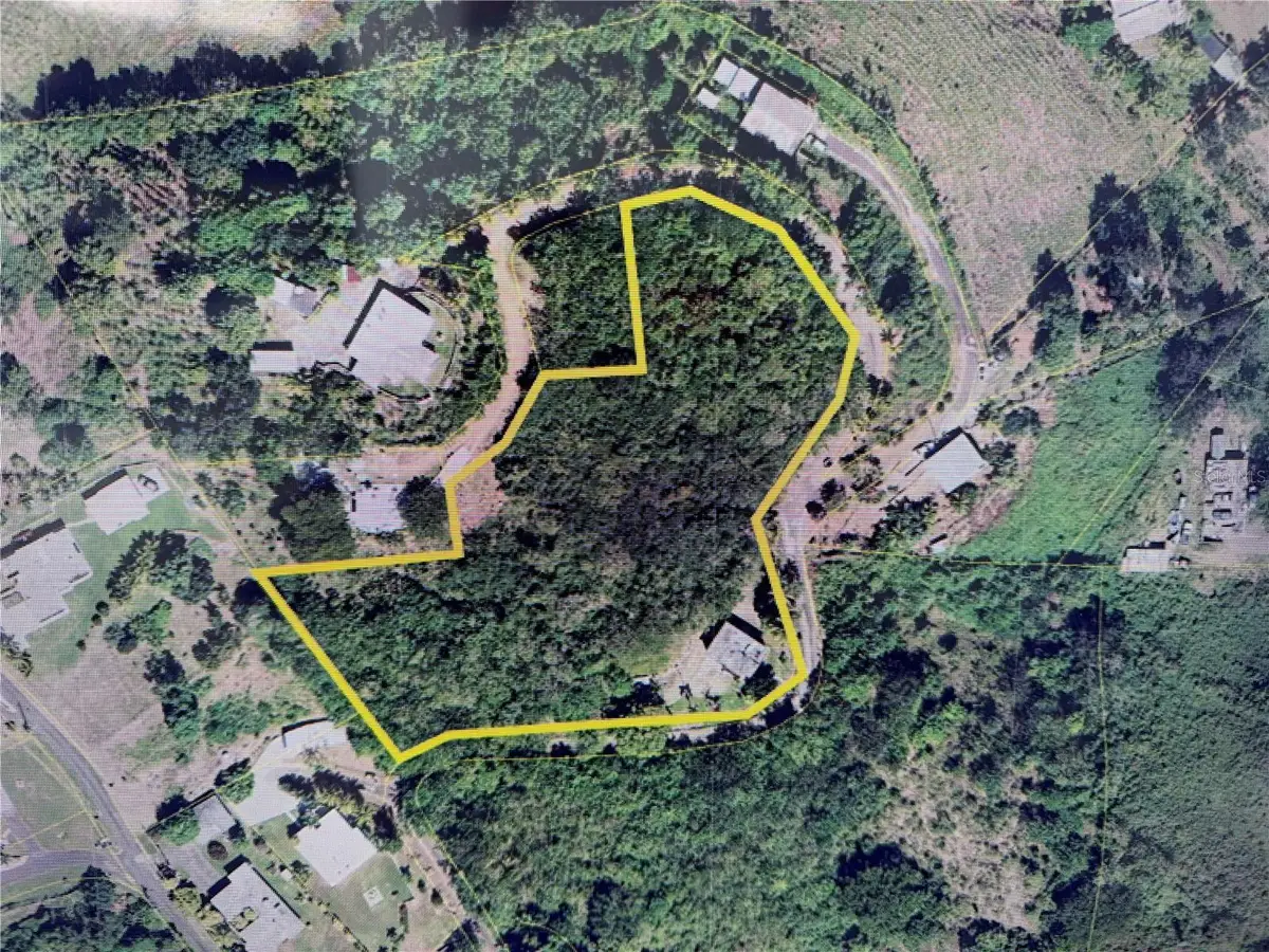 0.7 Km Carr. 184 Bo. Cacao Alto, Patillas, PR 00723 - #1