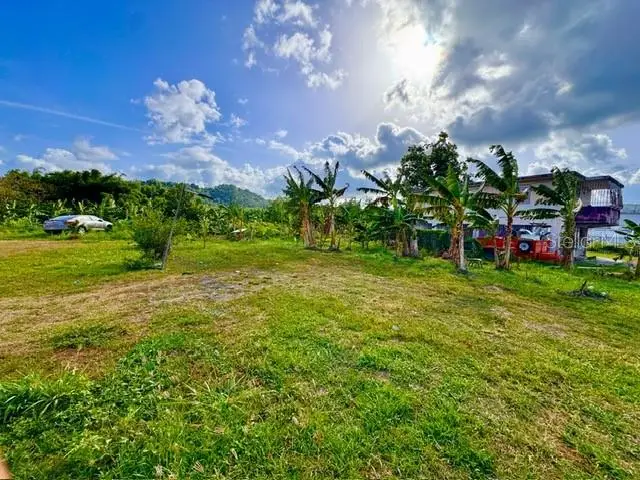 Bo Limones 2, Yabucoa, PR 00767 - #1